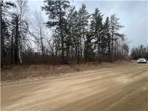 Listing photo 2 for TBD Birdsview Ln NW, Bemidji MN 56601