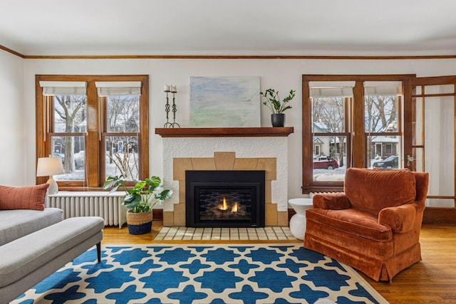 living room with ornamental molding, a tiled fireplace, wood finished floors, and radiator