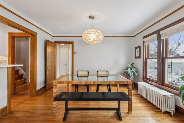 dining room featuring radiator, light wood finished floors, and crown molding