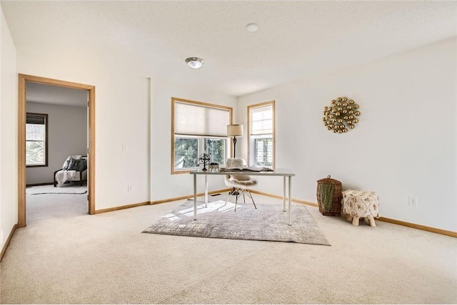 unfurnished office featuring a textured ceiling, carpet, and baseboards