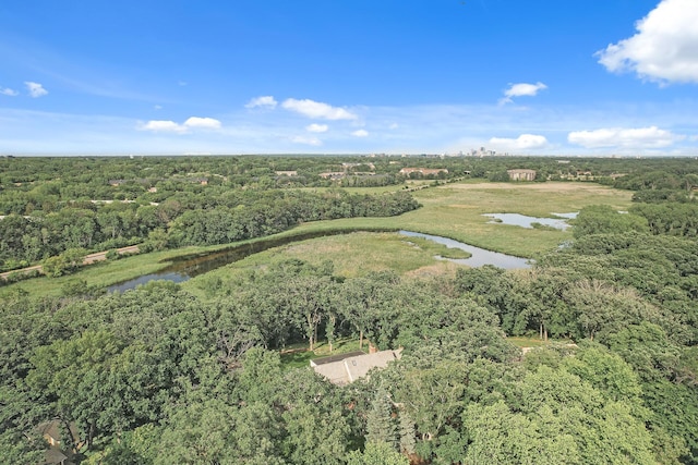 10 Saint Albans Rd E, Hopkins, MN 55305 - aerial overview of property's location with a large body of water and a heavily wooded area