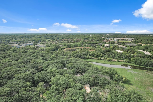 10 Saint Albans Rd E, Hopkins, MN 55305 - aerial view of a forest