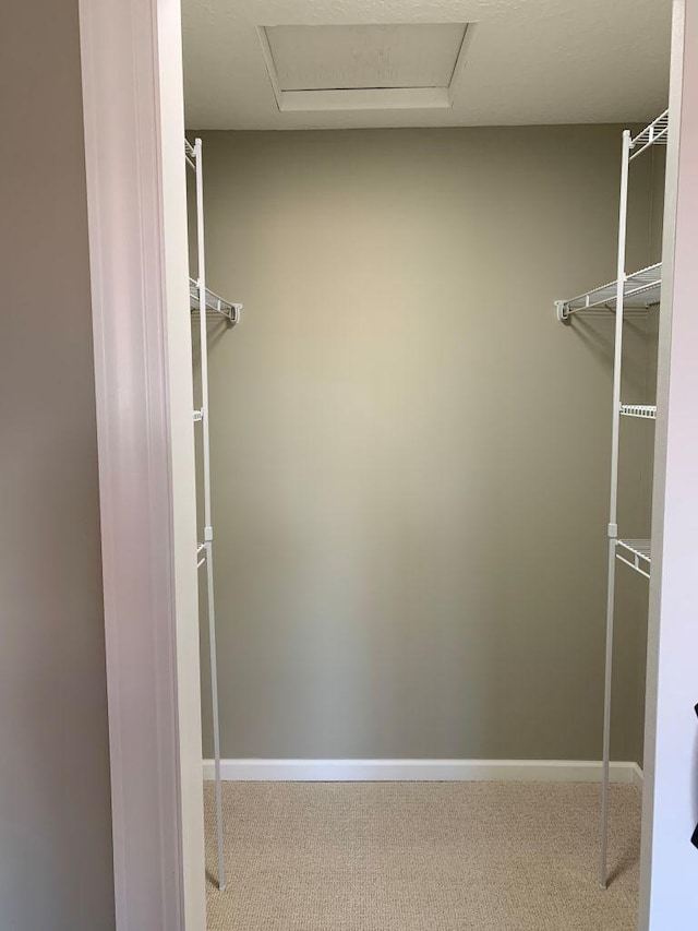 walk in closet with carpet flooring and attic access