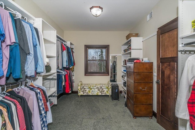 spacious closet featuring carpet and visible vents