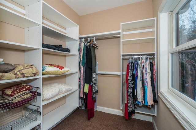 spacious closet featuring carpet floors