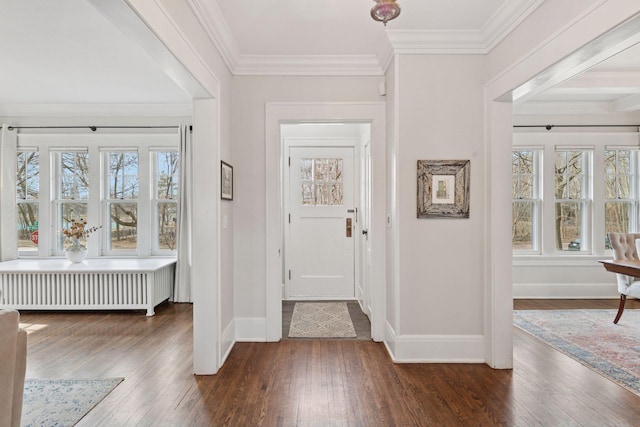 entryway featuring baseboards, radiator, crown molding, and hardwood / wood-style flooring