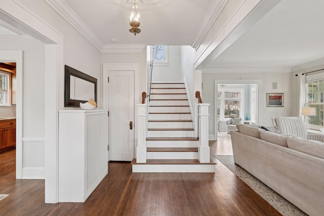 stairs featuring wood finished floors and ornamental molding