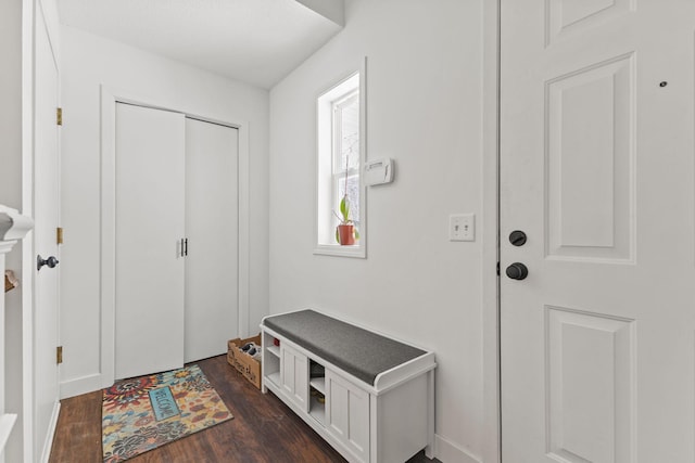 foyer entrance with dark wood-style flooring