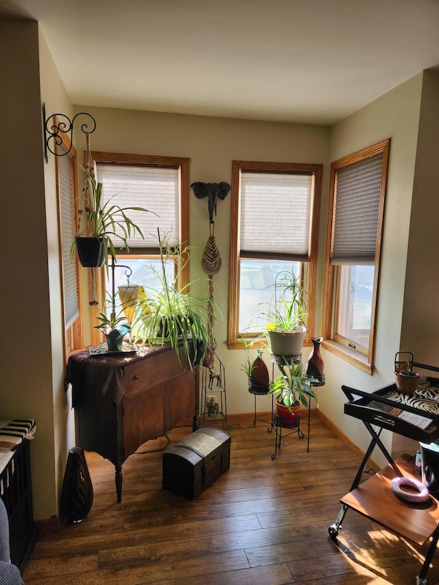 living area featuring a healthy amount of sunlight, baseboards, and hardwood / wood-style flooring