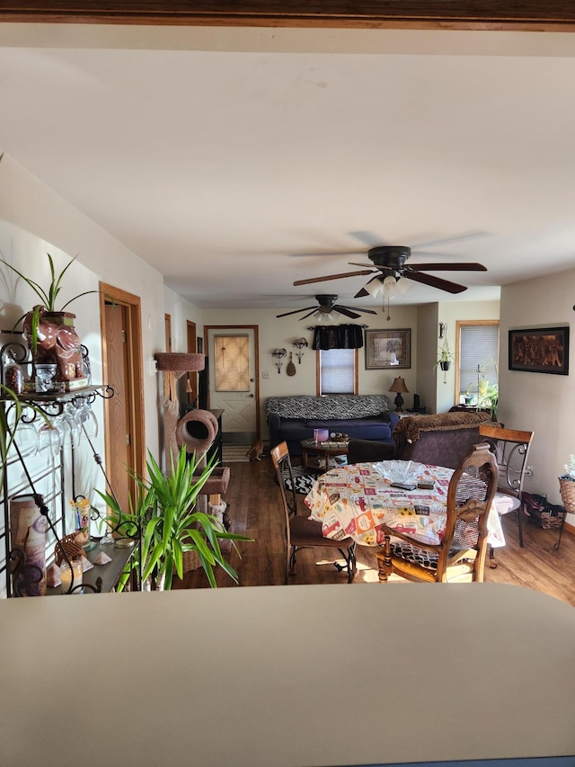 living area featuring wood finished floors and a ceiling fan