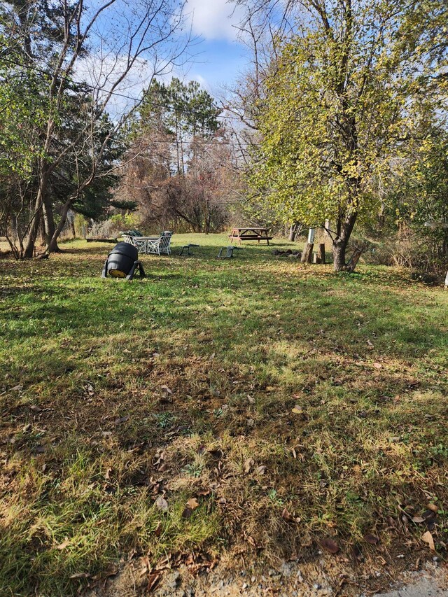 view of yard