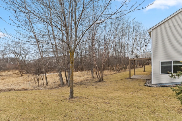 view of yard featuring a patio area and a deck