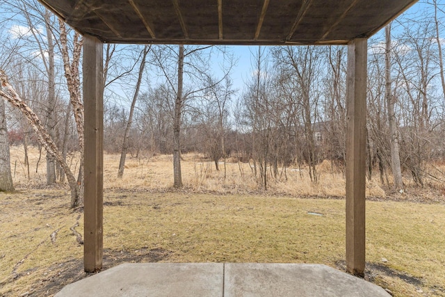 view of yard with a patio