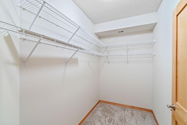 walk in closet with light carpet