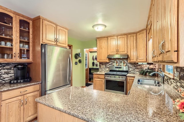 kitchen with decorative backsplash, appliances with stainless steel finishes, light stone countertops, under cabinet range hood, and a sink