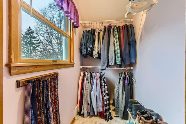 spacious closet featuring carpet floors