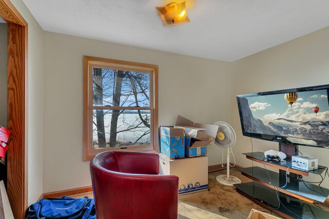 office space with carpet flooring and baseboards