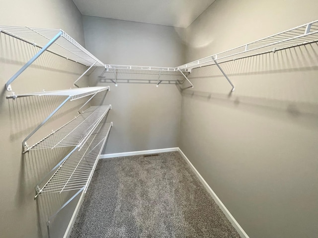 walk in closet with carpet floors