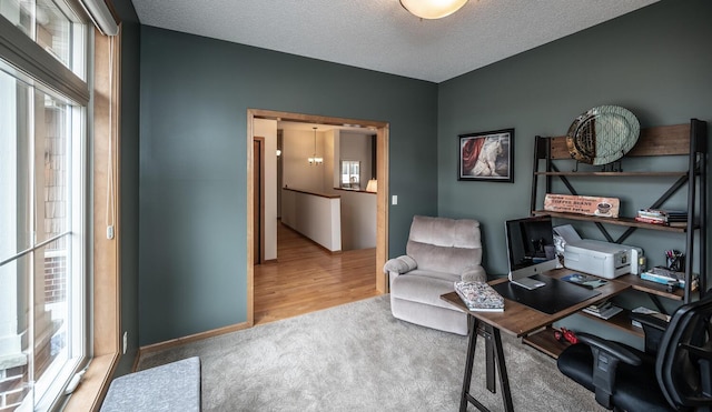 carpeted office space featuring plenty of natural light, baseboards, and a textured ceiling