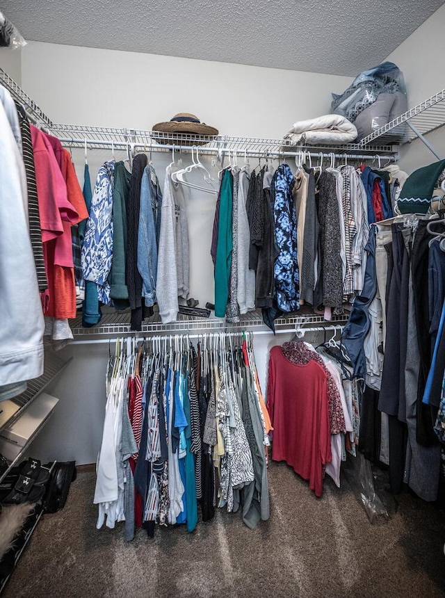 spacious closet with carpet floors