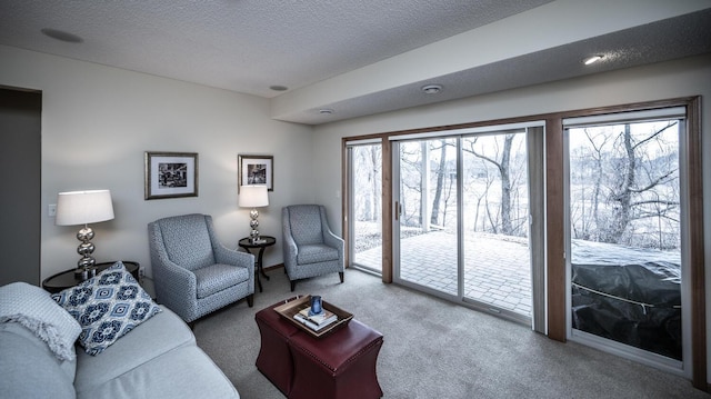 living area featuring carpet, a healthy amount of sunlight, and a textured ceiling