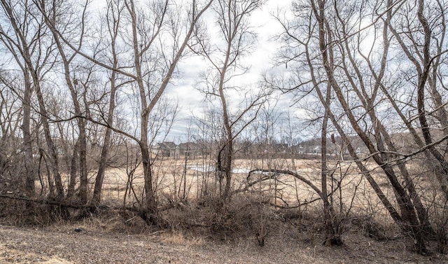 view of local wilderness