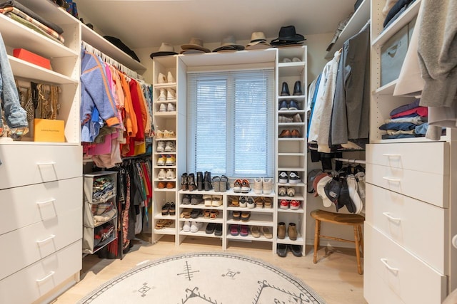 spacious closet featuring wood finished floors