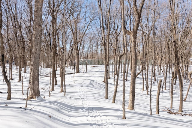 view of yard covered in snow