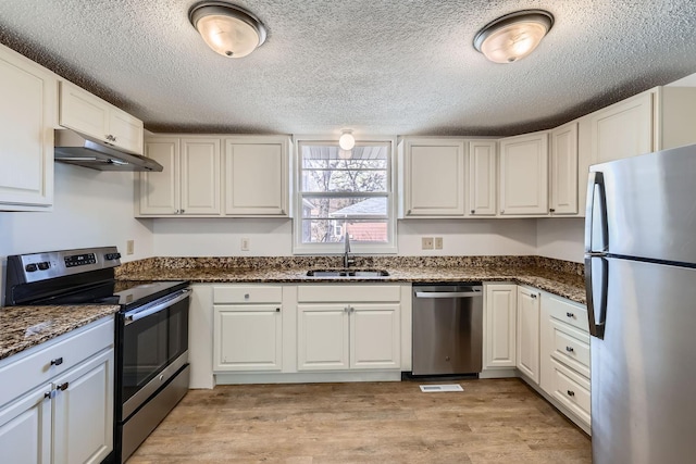 kitchen with light wood finished floors, appliances with stainless steel finishes, a sink, and under cabinet range hood