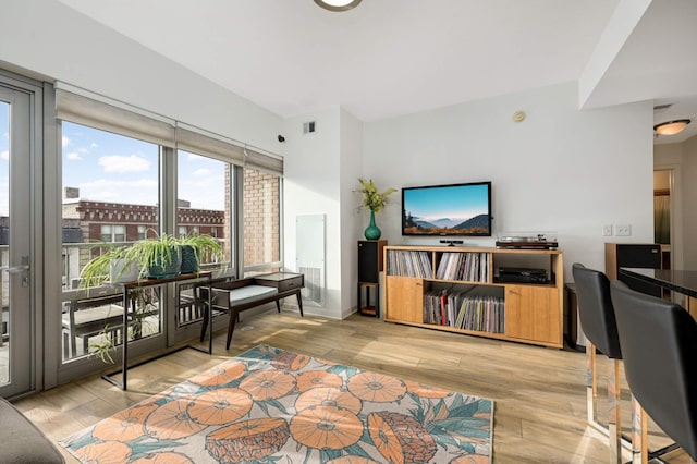 929 Portland Ave Unit 309, Minneapolis, MN 55404 - living room with light wood-style flooring