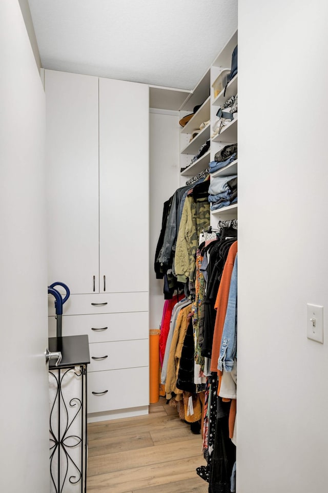 929 Portland Ave Unit 309, Minneapolis, MN 55404 - walk in closet featuring light wood-style flooring