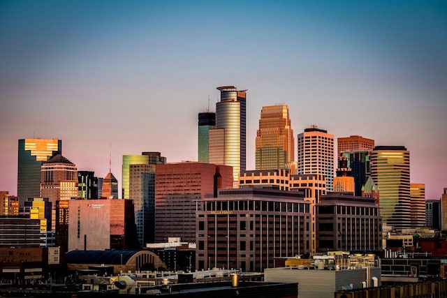 929 Portland Ave Unit 309, Minneapolis, MN 55404 - view of city skyline