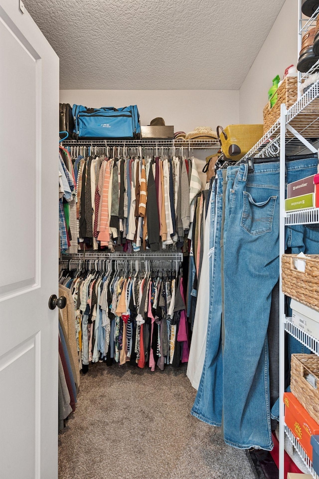 walk in closet featuring carpet