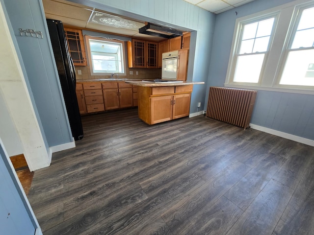 kitchen featuring radiator heating unit, glass insert cabinets, dark wood-type flooring, oven, and light countertops