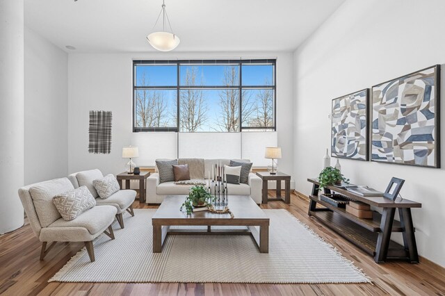 living room with wood finished floors