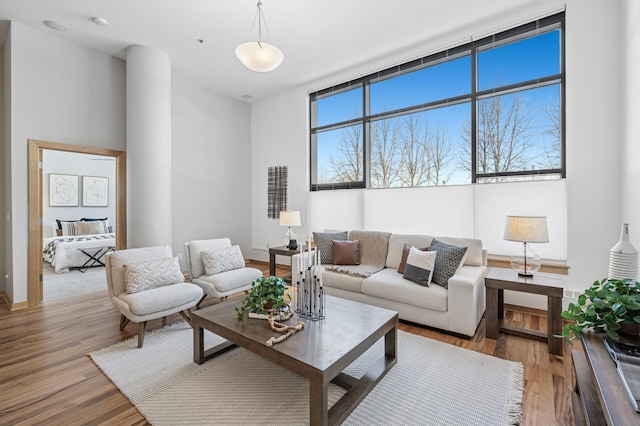 living room featuring wood finished floors