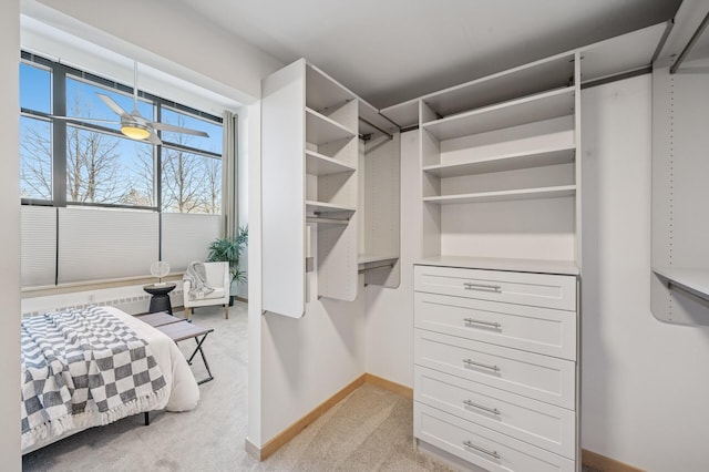 walk in closet featuring light carpet and ceiling fan