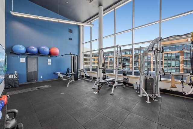 exercise room featuring lofted ceiling