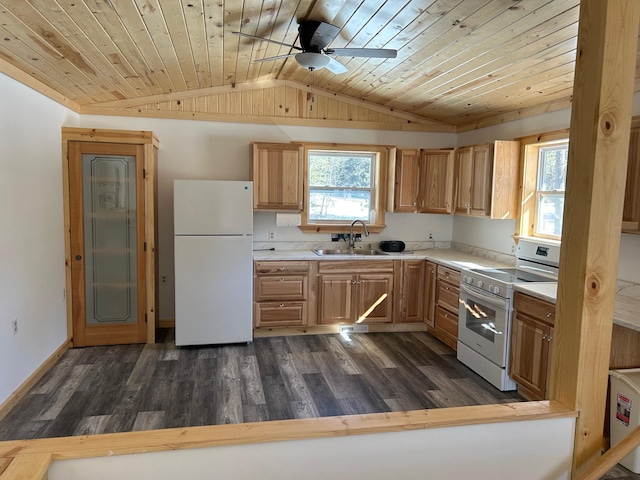 kitchen with dark wood-style flooring, white appliances, light countertops, and a sink