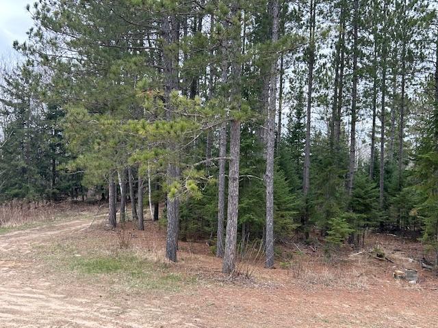 31154 Arbo Rd, Arbo Twp, MN 55744 - view of local wilderness with a wooded view