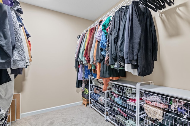 walk in closet featuring carpet flooring