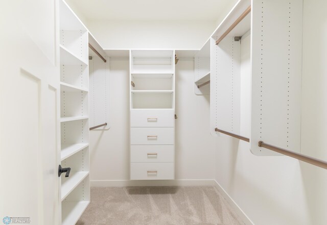 walk in closet with carpet flooring