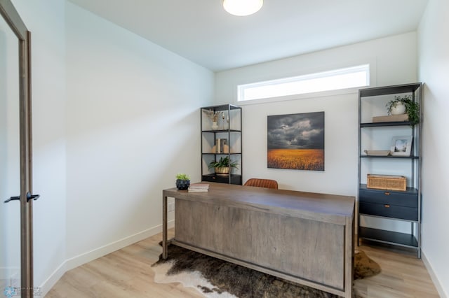 office with light wood finished floors and baseboards