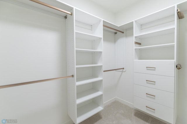 spacious closet featuring light colored carpet