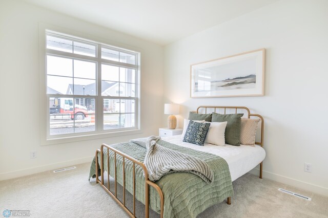 5172 Mira Way W, West Fargo, ND 58078 - bedroom with multiple windows, carpet, and baseboards
