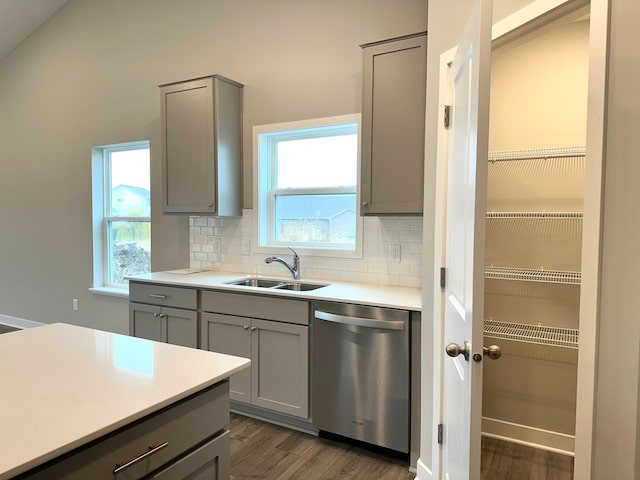 kitchen featuring dark wood-type flooring, a sink, stainless steel dishwasher, gray cabinets, and backsplash