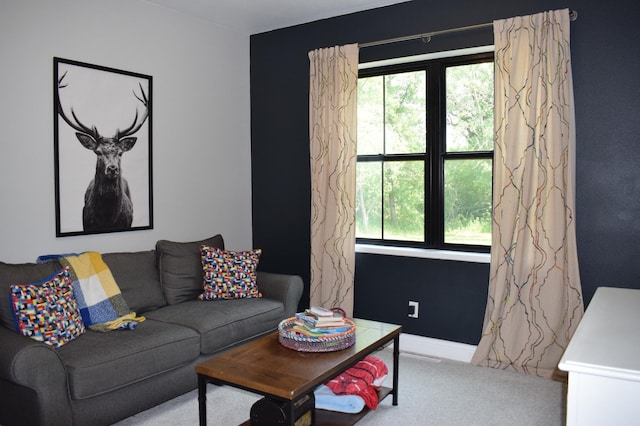 12424 126th Ave NE, Thief River Falls, MN 56701 - living area with carpet flooring and baseboards