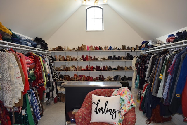 12424 126th Ave NE, Thief River Falls, MN 56701 - spacious closet featuring carpet floors and vaulted ceiling