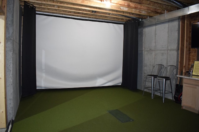 12424 126th Ave NE, Thief River Falls, MN 56701 - game room with golf simulator and concrete flooring