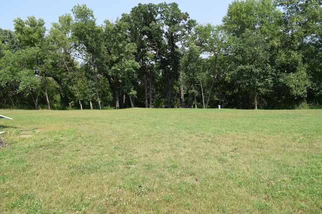 12424 126th Ave NE, Thief River Falls, MN 56701 - view of grassy yard